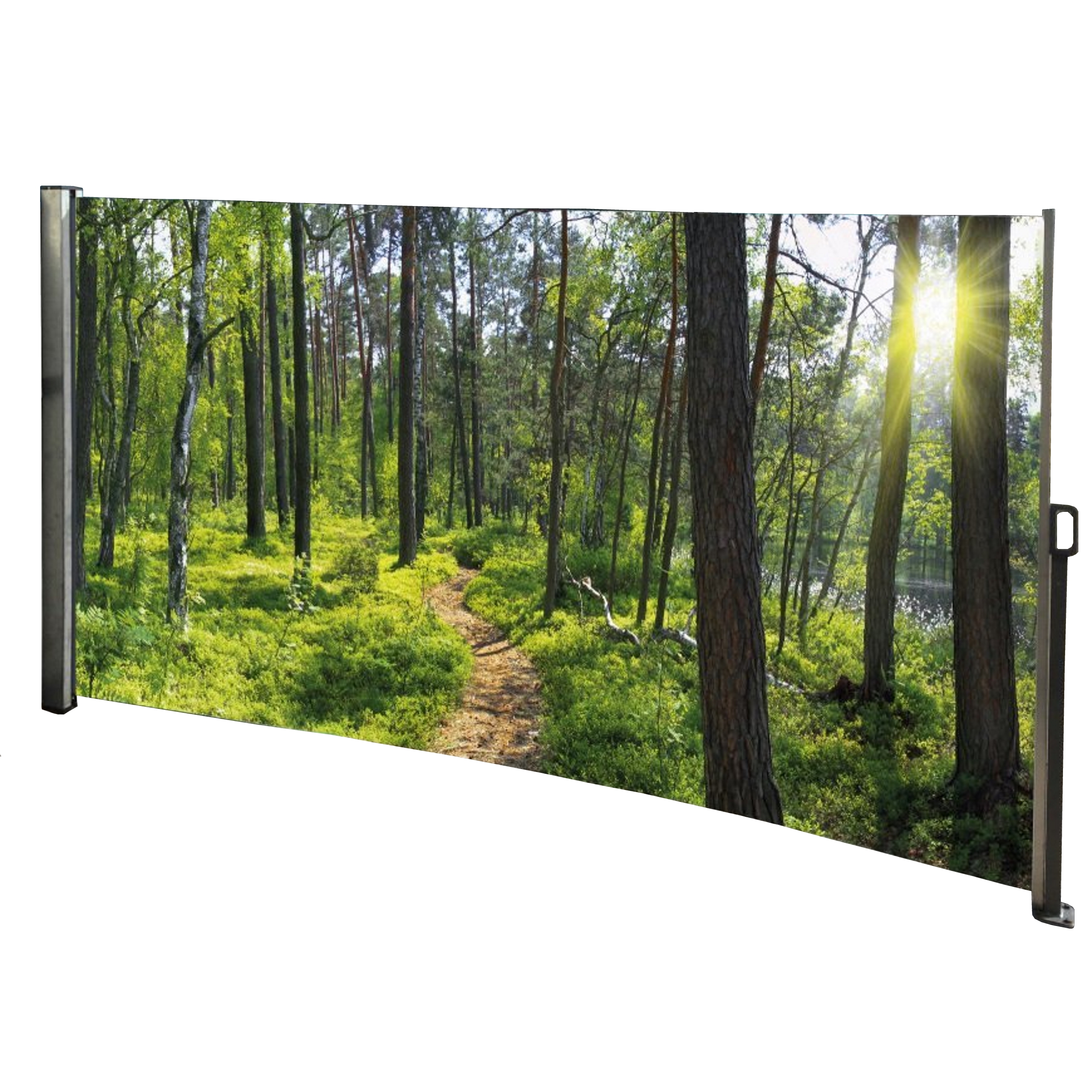 Seitenmarkise Wald - Foto Windschutz Sichtschutz Links 160 x 300 cm